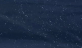 秒速五厘米短视频,时光流转中的青春记忆